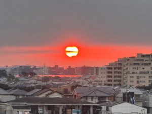 新年あけましておめでとうございます！！！🎍